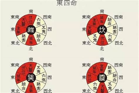 东四命西四命对照表|东四命西四命速查表 命卦对照表